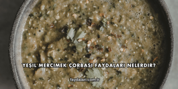Yeşil Mercimek Çorbası Faydaları Nelerdir?