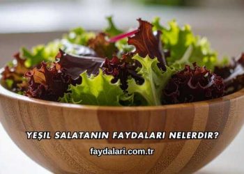 Yeşil Salatanın Faydaları Nelerdir?