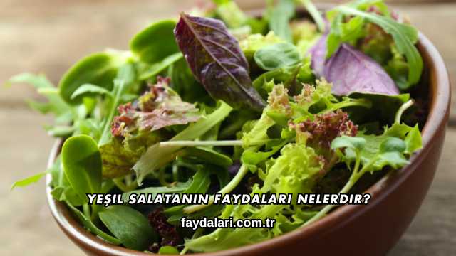 Yeşil Salatanın Faydaları Nelerdir?