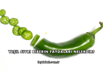 Yeşil Sivri Biberin Faydaları Nelerdir?