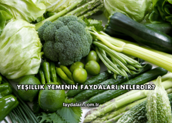 Yeşillik Yemenin Faydaları Nelerdir?