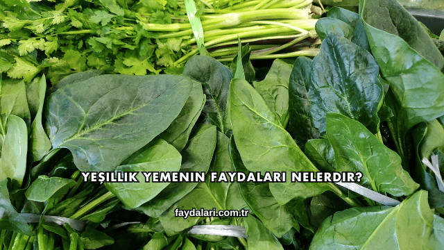 Yeşillik Yemenin Faydaları Nelerdir?