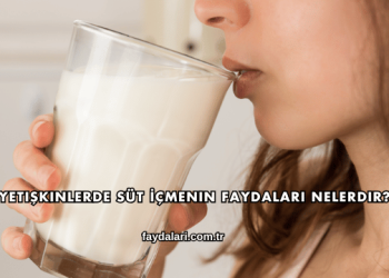Yetişkinlerde Süt İçmenin Faydaları Nelerdir?