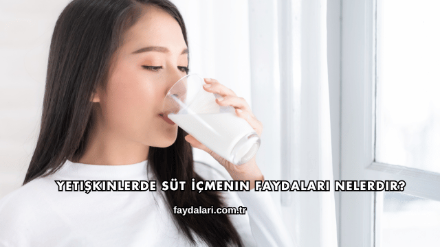Yetişkinlerde Süt İçmenin Faydaları Nelerdir?