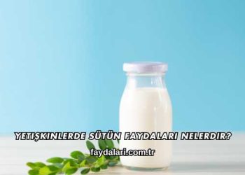 Yetişkinlerde Sütün Faydaları Nelerdir?