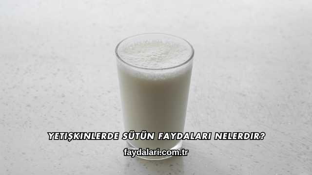 Yetişkinlerde Sütün Faydaları Nelerdir?