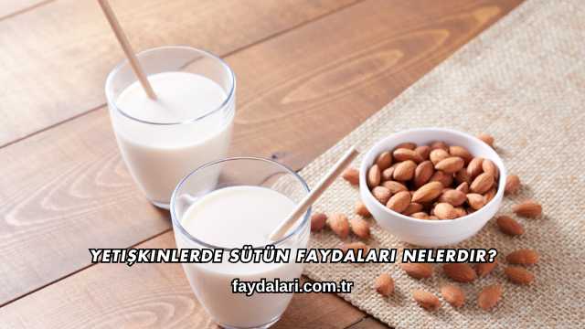 Yetişkinlerde Sütün Faydaları Nelerdir?