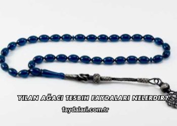 Yılan Ağacı Tesbih Faydaları Nelerdir?