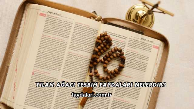 Yılan Ağacı Tesbih Faydaları Nelerdir?