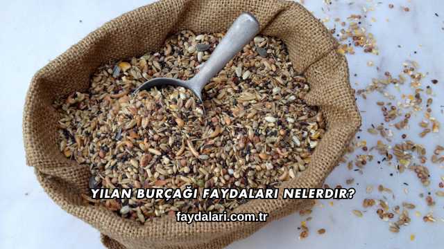 Yılan Burçağı Faydaları Nelerdir?