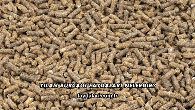Yılan Burçağı Faydaları Nelerdir?