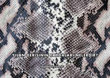 Yılan Derisinin Faydaları Nelerdir?