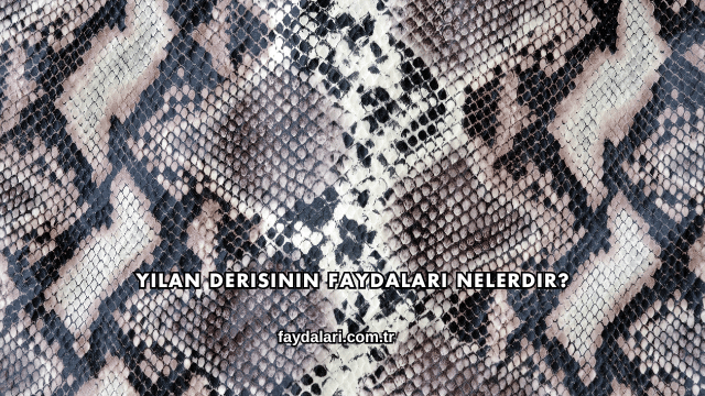 Yılan Derisinin Faydaları Nelerdir?