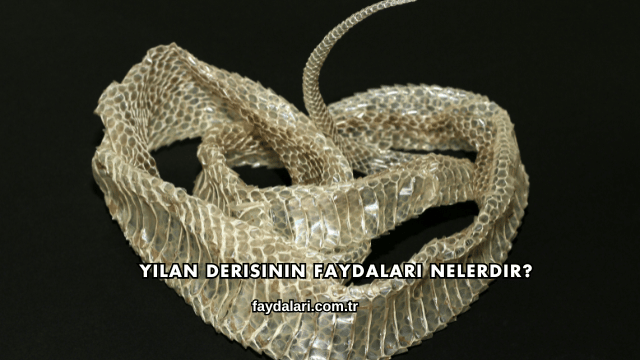 Yılan Derisinin Faydaları Nelerdir?