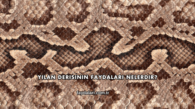 Yılan Derisinin Faydaları Nelerdir?