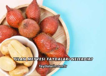 Yılan Meyvesi Faydaları Nelerdir?