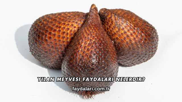 Yılan Meyvesi Faydaları Nelerdir?