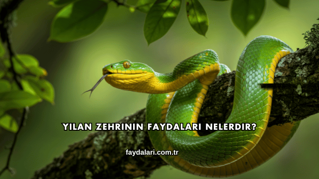 Yılan Zehrinin Faydaları Nelerdir?
