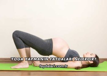 Yoga Yapmanın Faydaları Nelerdir?