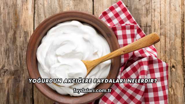 Yoğurdun Akciğere Faydaları Nelerdir
