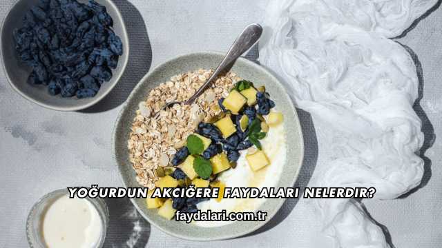 Yoğurdun Akciğere Faydaları Nelerdir