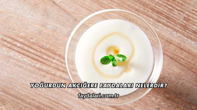 Yoğurdun Akciğere Faydaları Nelerdir