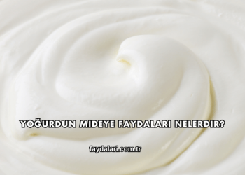 Yoğurdun Mideye Faydaları Nelerdir?