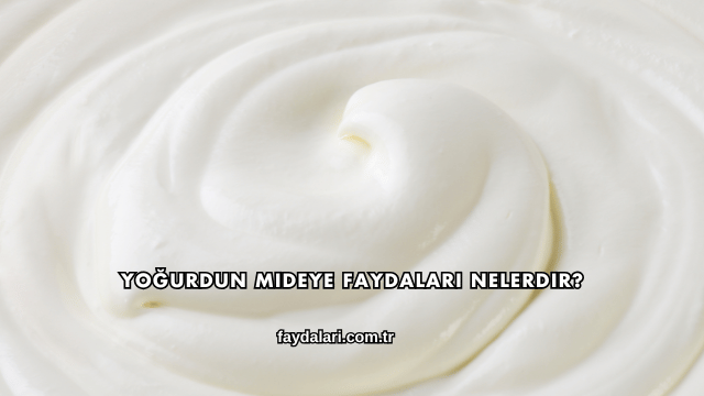 Yoğurdun Mideye Faydaları Nelerdir?