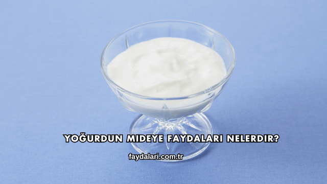 Yoğurdun Mideye Faydaları Nelerdir?