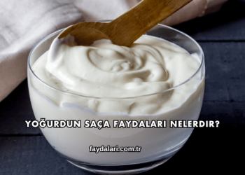 Yoğurdun Saça Faydaları Nelerdir?