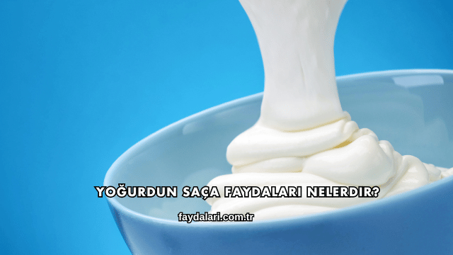 Yoğurdun Saça Faydaları Nelerdir?