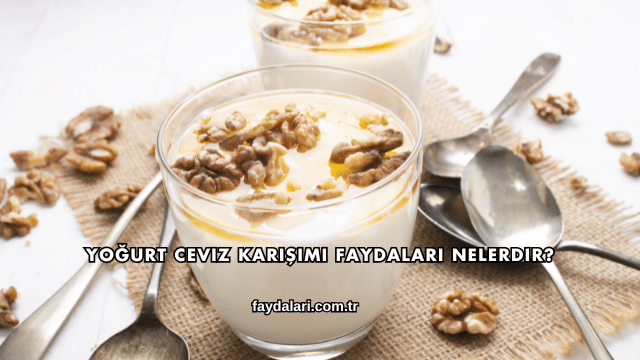 Yoğurt Ceviz Karışımı Faydaları Nelerdir?