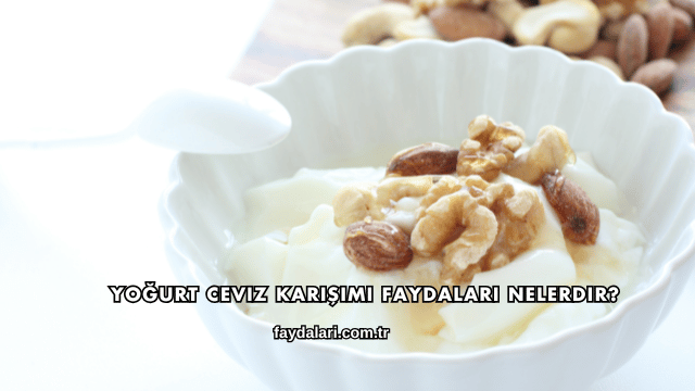 Yoğurt Ceviz Karışımı Faydaları Nelerdir?