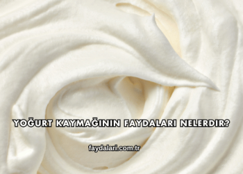Yoğurt Kaymağının Faydaları Nelerdir?