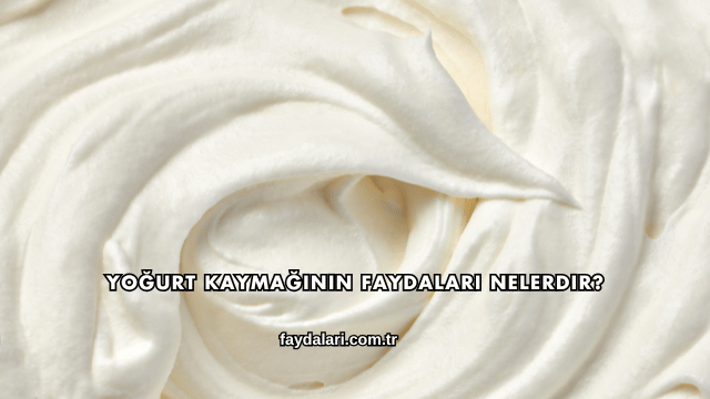 Yoğurt Kaymağının Faydaları Nelerdir?