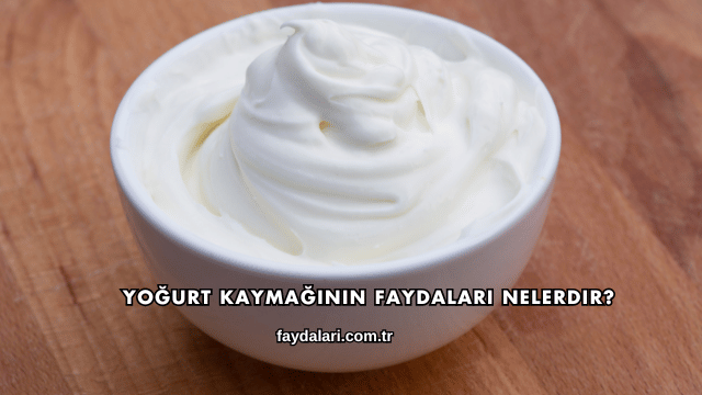 Yoğurt Kaymağının Faydaları Nelerdir?