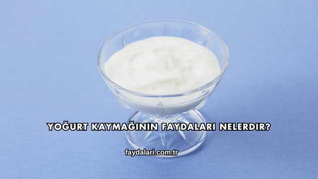 Yoğurt Kaymağının Faydaları Nelerdir?