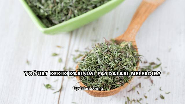 Yoğurt Kekik Karışımı Faydaları Nelerdir?