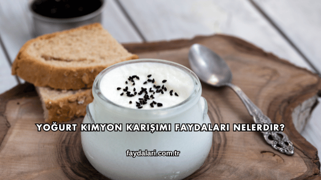 Yoğurt Kimyon Karışımı Faydaları Nelerdir?