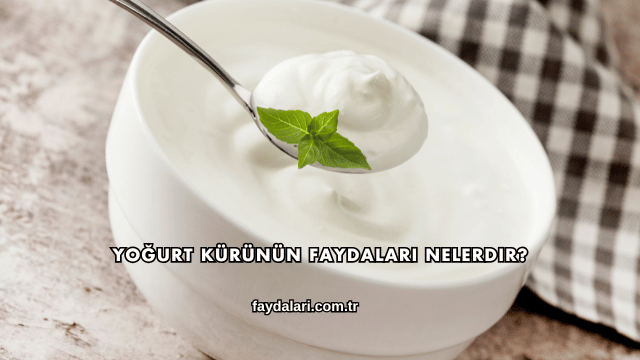 Yoğurt Kürünün Faydaları Nelerdir?