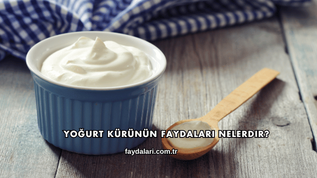 Yoğurt Kürünün Faydaları Nelerdir?