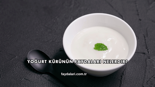 Yoğurt Kürünün Faydaları Nelerdir?