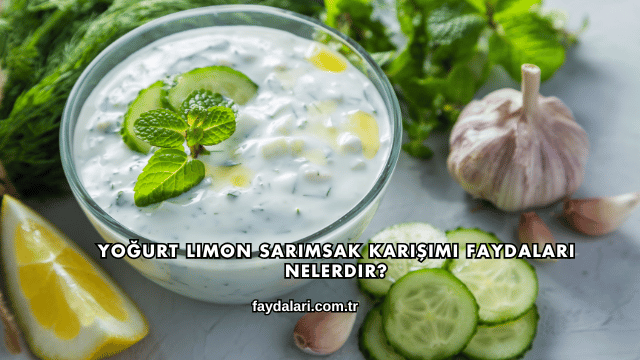 Yoğurt Limon Sarımsak Karışımı Faydaları Nelerdir?
