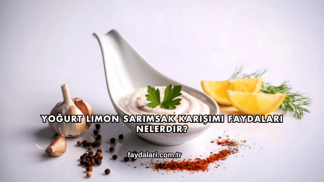 Yoğurt Limon Sarımsak Karışımı Faydaları Nelerdir?