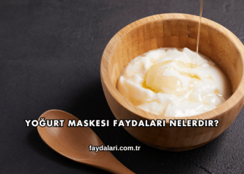 Yoğurt Maskesi Faydaları Nelerdir?