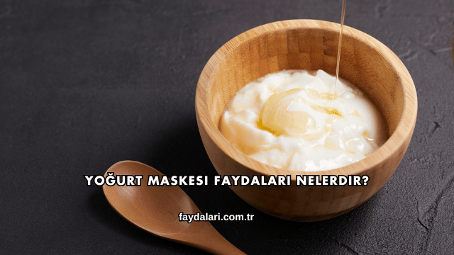 Yoğurt Maskesi Faydaları Nelerdir?
