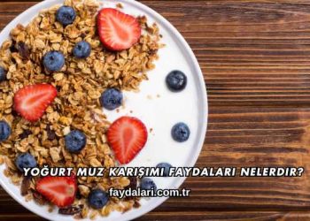Yoğurt Muz Karışımı Faydaları Nelerdir?