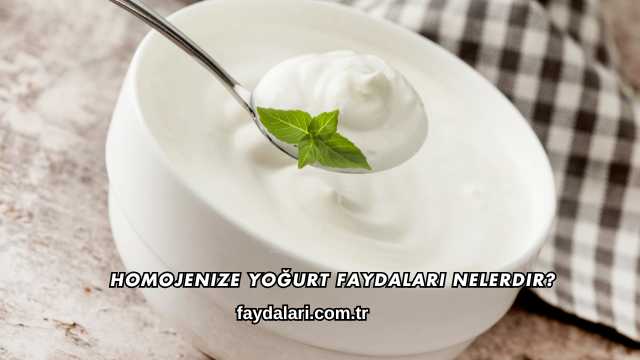 Homojenize Yoğurt Faydaları Nelerdir?