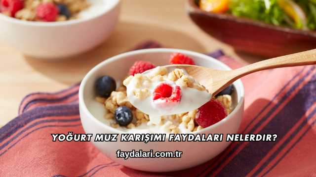 Yoğurt Muz Karışımı Faydaları Nelerdir?