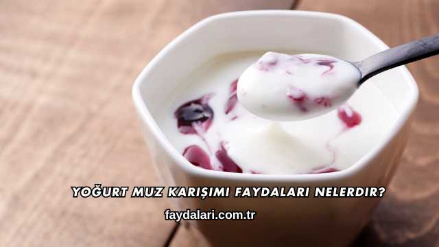 Yoğurt Muz Karışımı Faydaları Nelerdir?